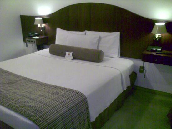 Hotel Anaca Sao Carlos מראה חיצוני תמונה